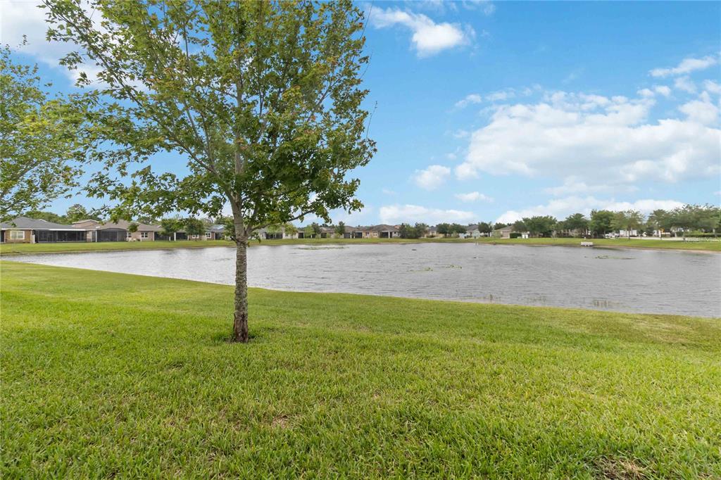 2489 Datura Loop St. Cloud, FL 34772 - Photo 46 of 51