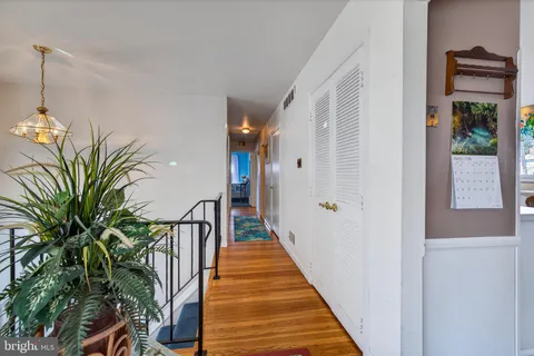 a view of a hallway with wooden floor and a potted plant