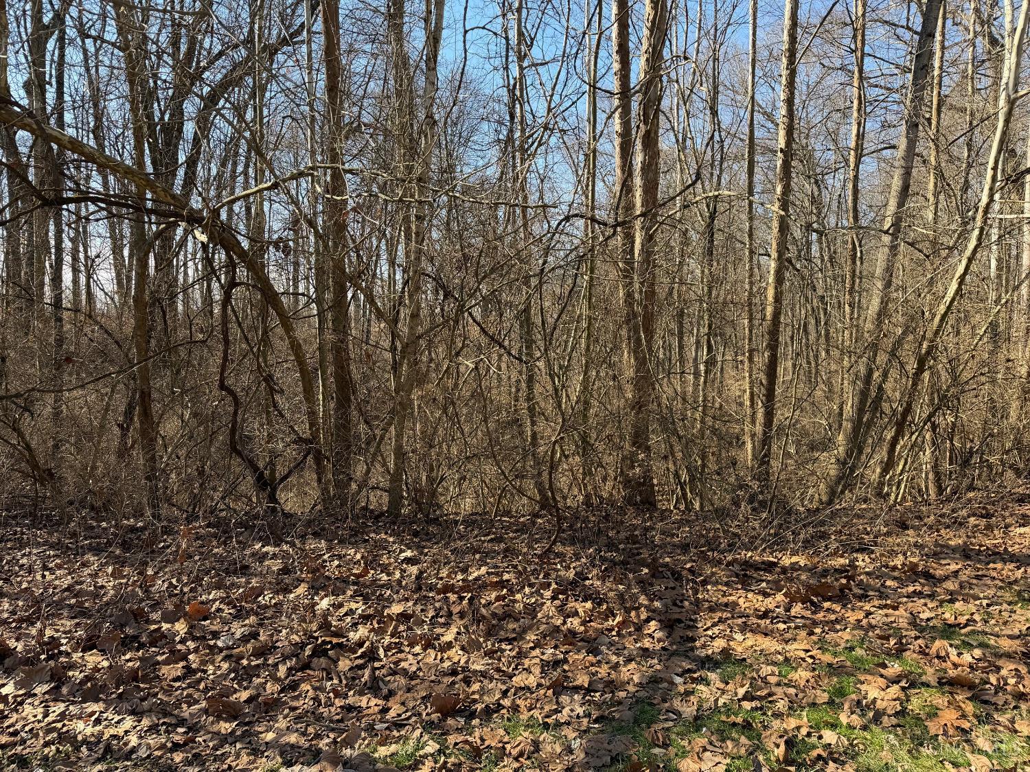 0 Watch Point Drive Cincinnati, OH 45230 - Photo 2 of 5