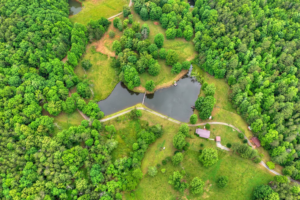 20.11 Mountain View Road McCaysville, GA 30555 - Photo 28 of 51
