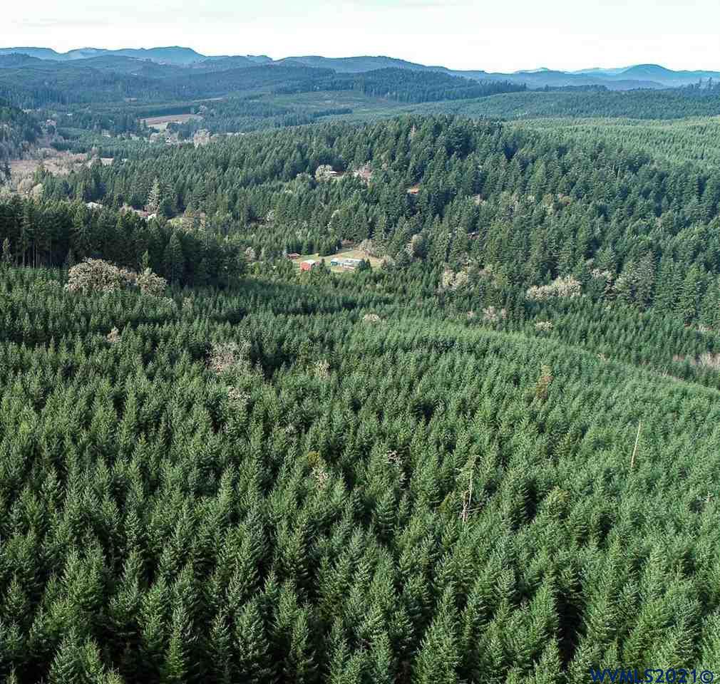 Tl805 Hall Road Cheshire, OR 97419 - Photo 8 of 17 Gallery Image 8