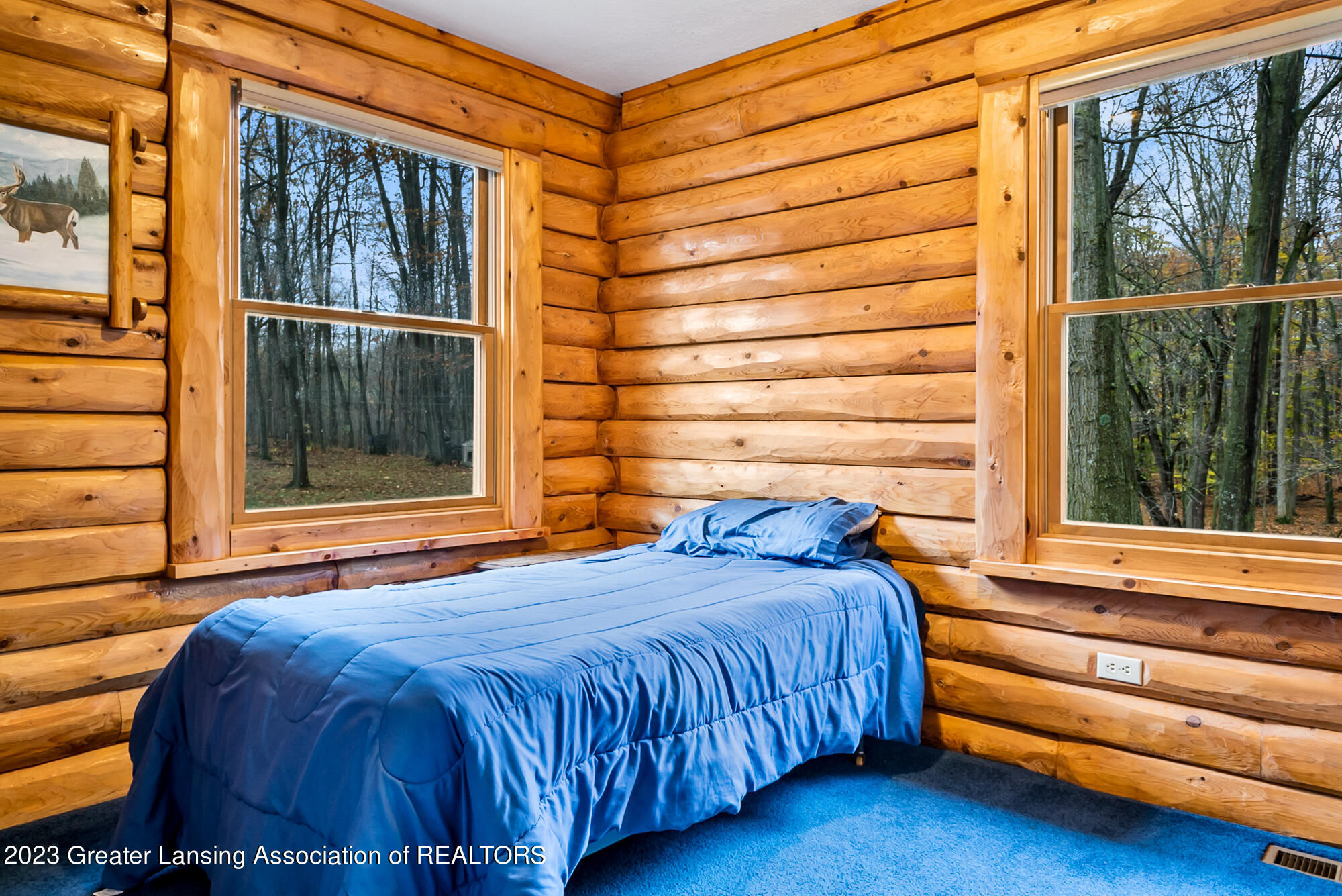 5347 North Shepardsville Road Elsie, MI 48831 - Photo 34 of 65 5347 N Shepardsville Rd Elsie MI-135