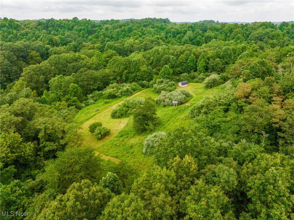 Harrons Ridge Road Dexter City, OH 45727 - Photo 37 of 50 Drone / aerial view of a heavily wooded area