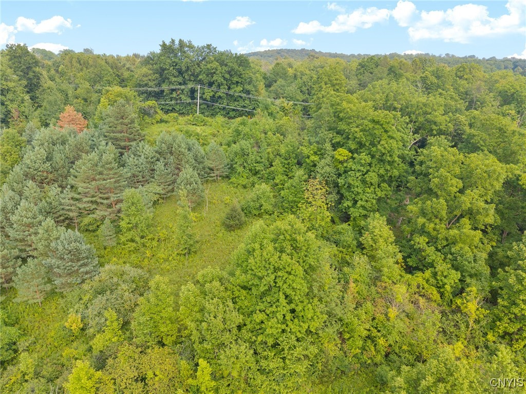 4081 Taylor Road Jamesville, NY 13078 - Photo 14 of 16