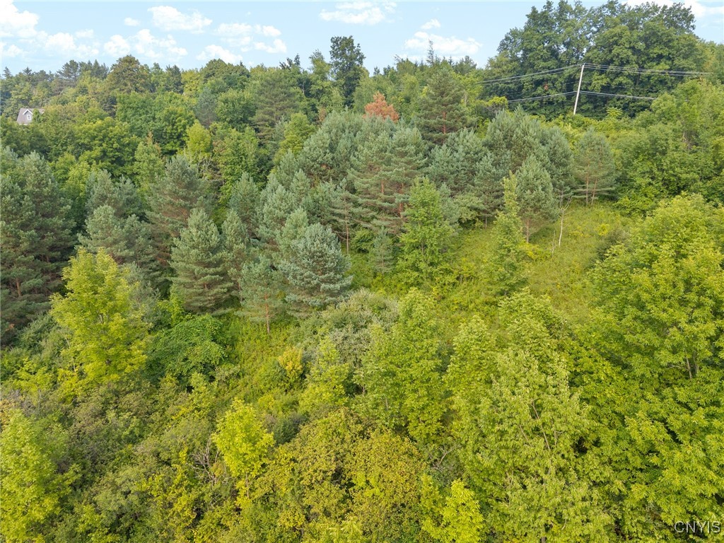 4081 Taylor Road Jamesville, NY 13078 - Photo 15 of 16