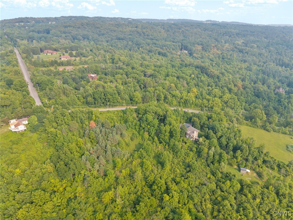 4081 Taylor Road Jamesville, NY 13078 - Photo 3 of 16