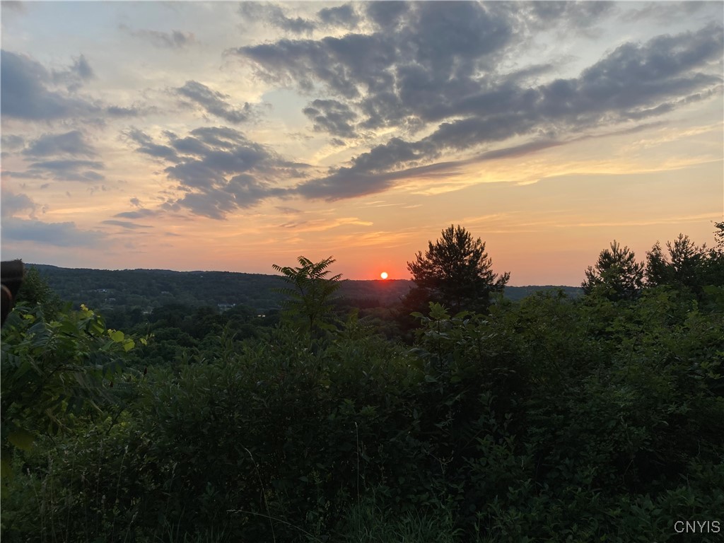 4081 Taylor Road Jamesville, NY 13078 - Photo 4 of 16