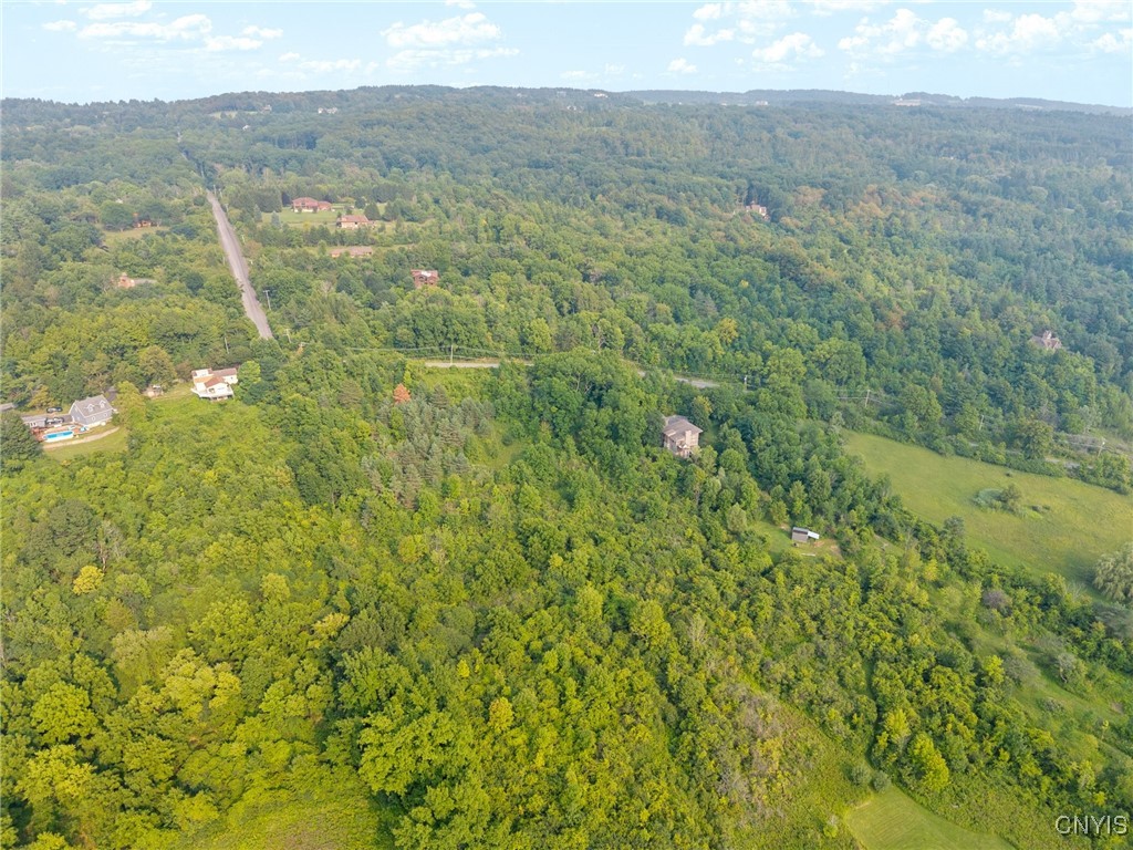 4081 Taylor Road Jamesville, NY 13078 - Photo 5 of 16