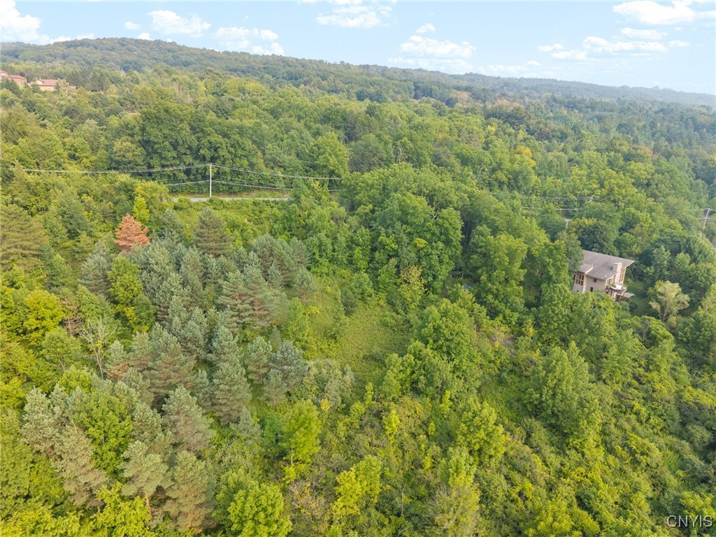 4081 Taylor Road Jamesville, NY 13078 - Photo 6 of 16