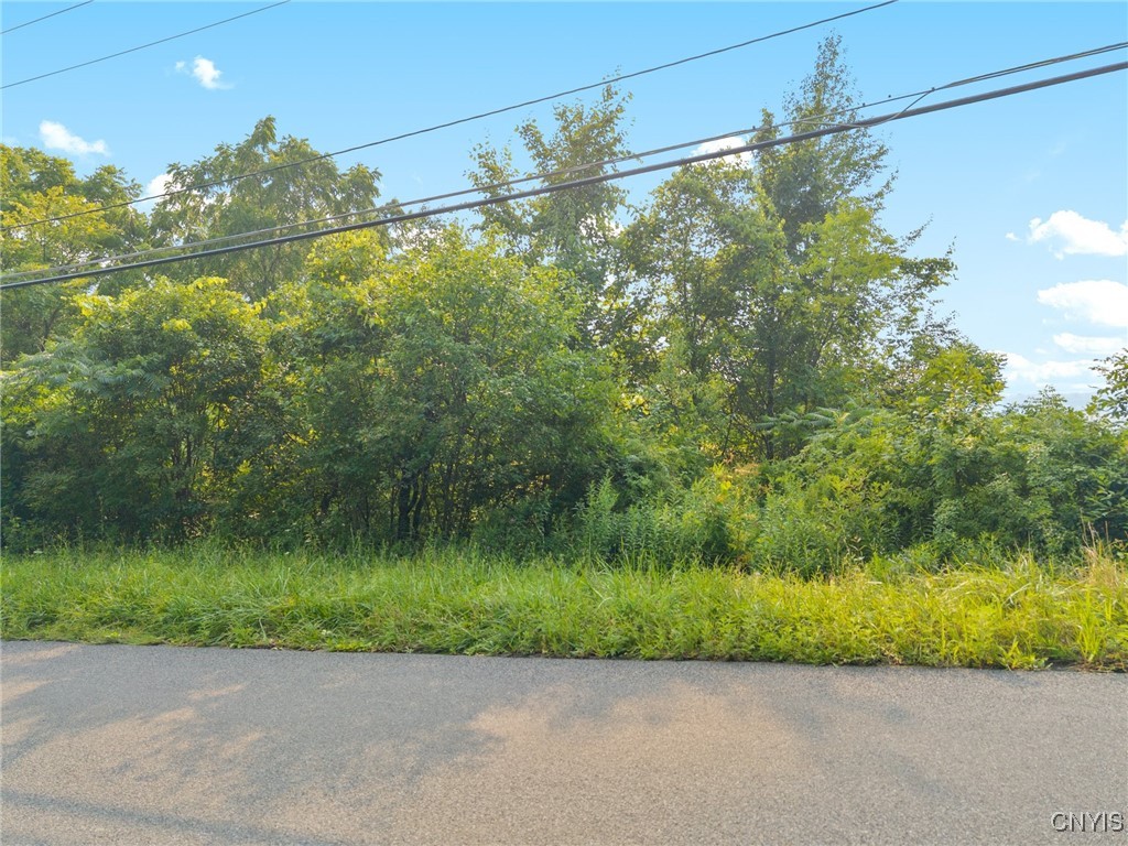 4081 Taylor Road Jamesville, NY 13078 - Photo 7 of 16