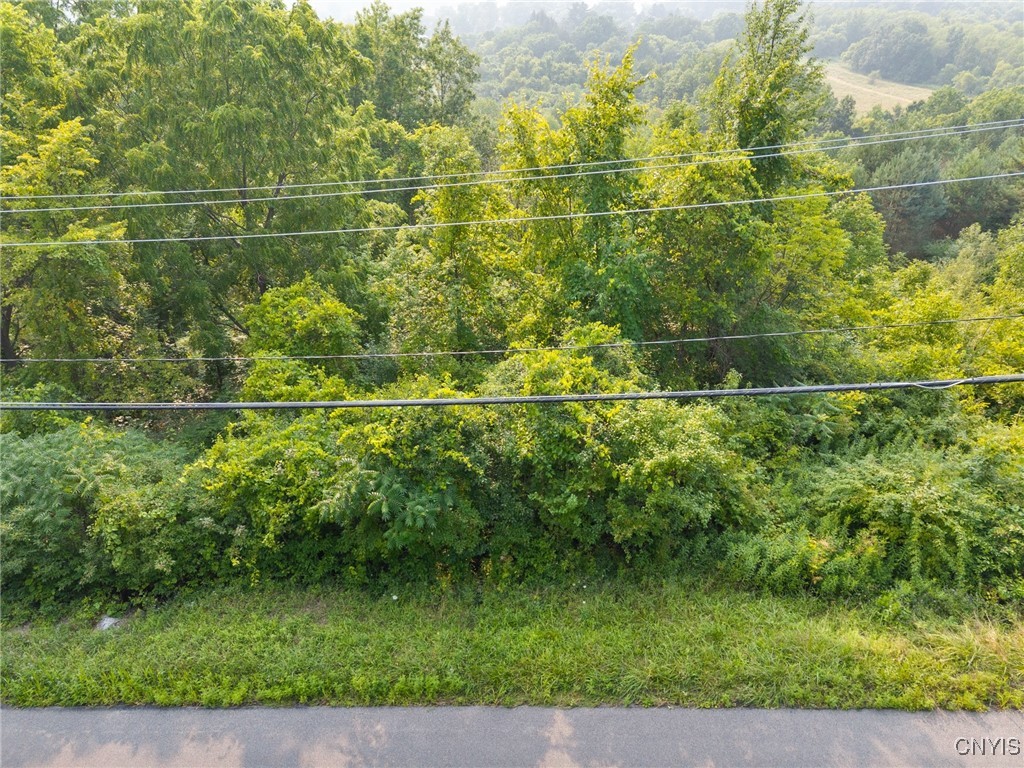 4081 Taylor Road Jamesville, NY 13078 - Photo 8 of 16