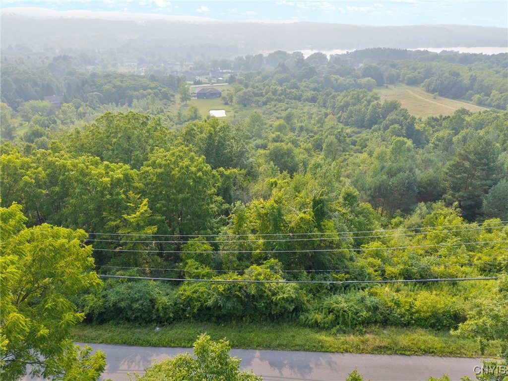 4081 Taylor Road Jamesville, NY 13078 - Photo 9 of 16