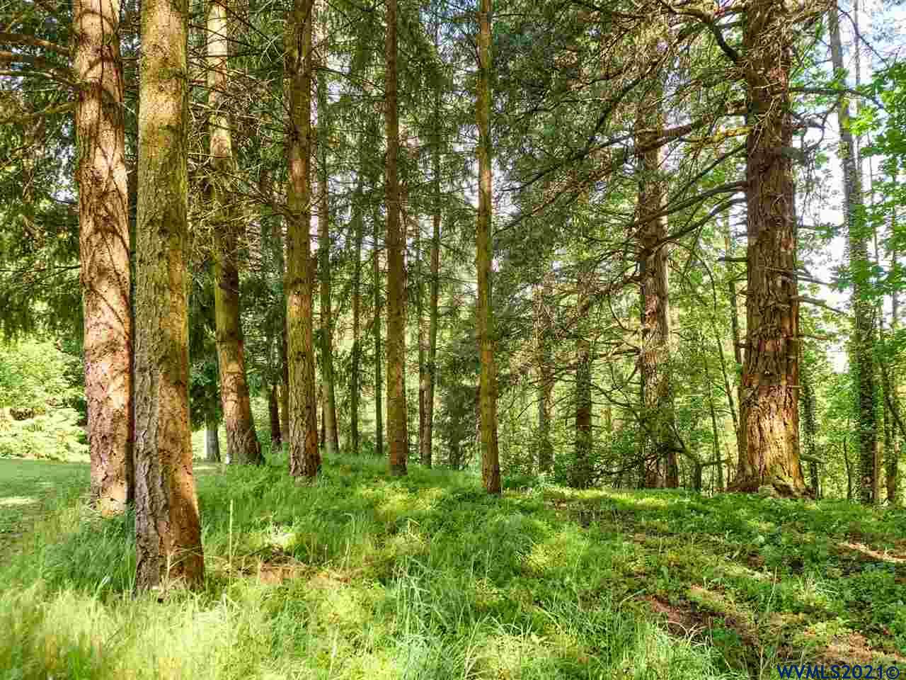 17101 Southwest Wilsonville Road Wilsonville, OR 97070 - Photo 37 of 42