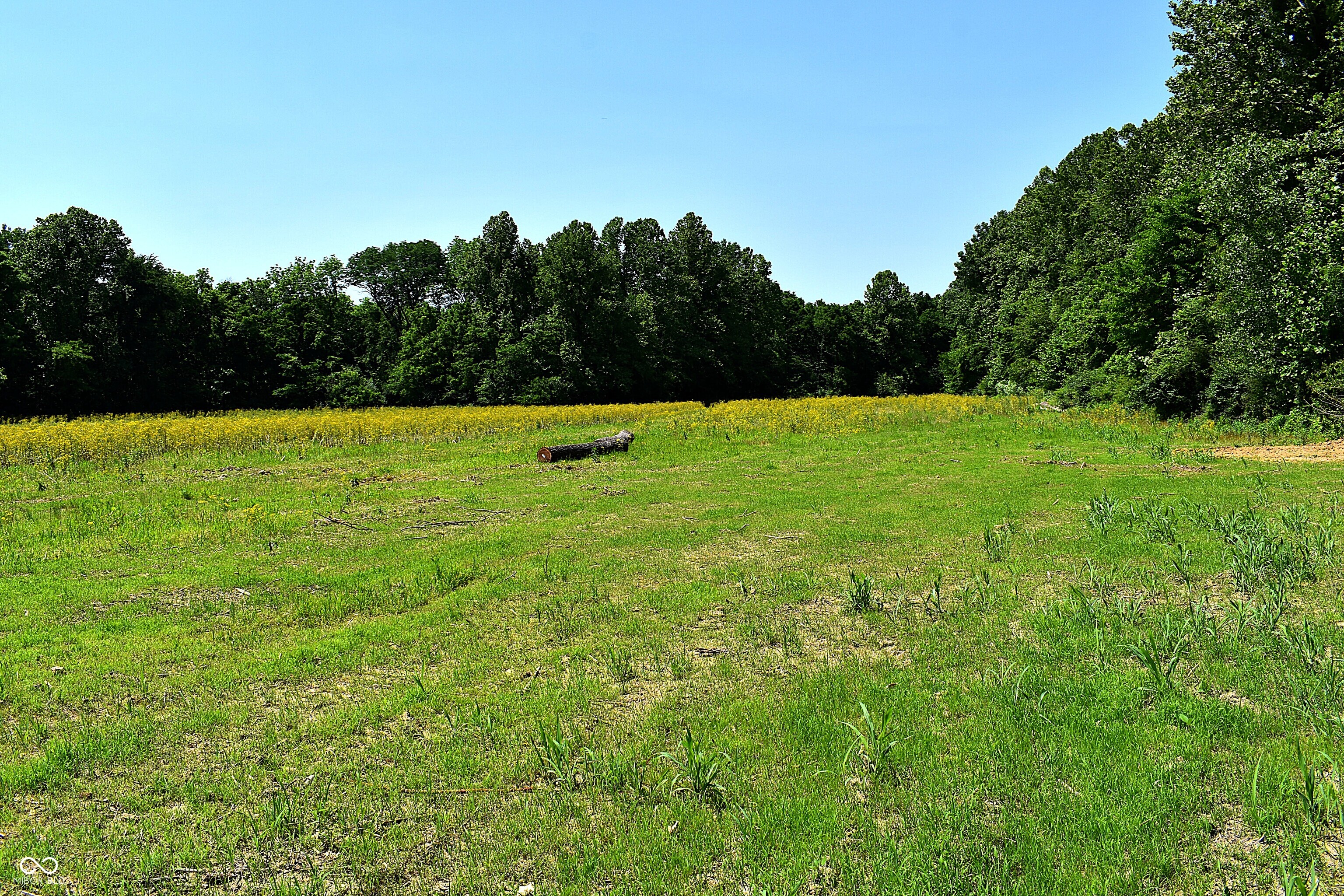 Lot 6 Whitetail Ridge Mooresville, IN 46158 - Photo 5 of 8