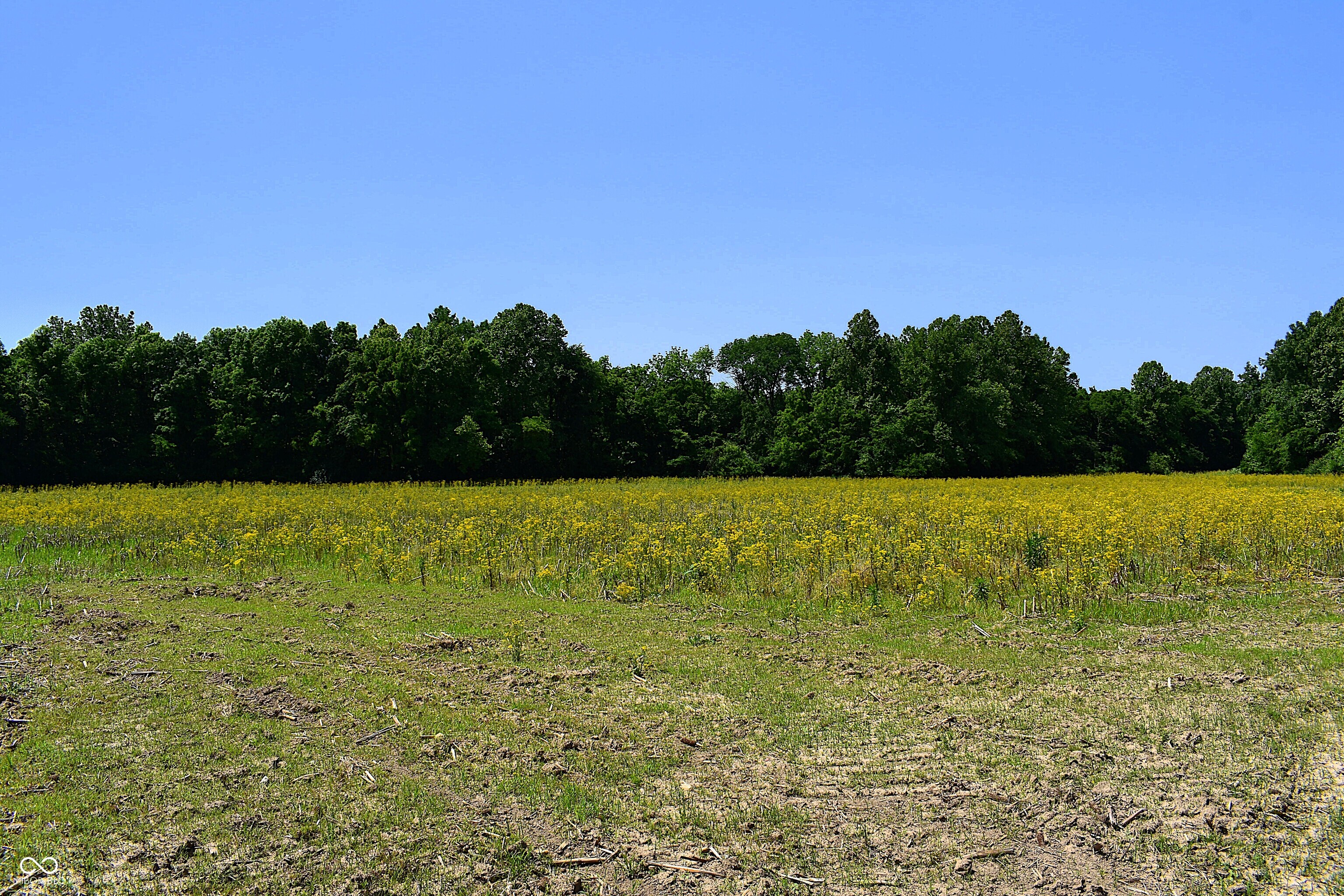 Lot 6 Whitetail Ridge Mooresville, IN 46158 - Photo 6 of 8