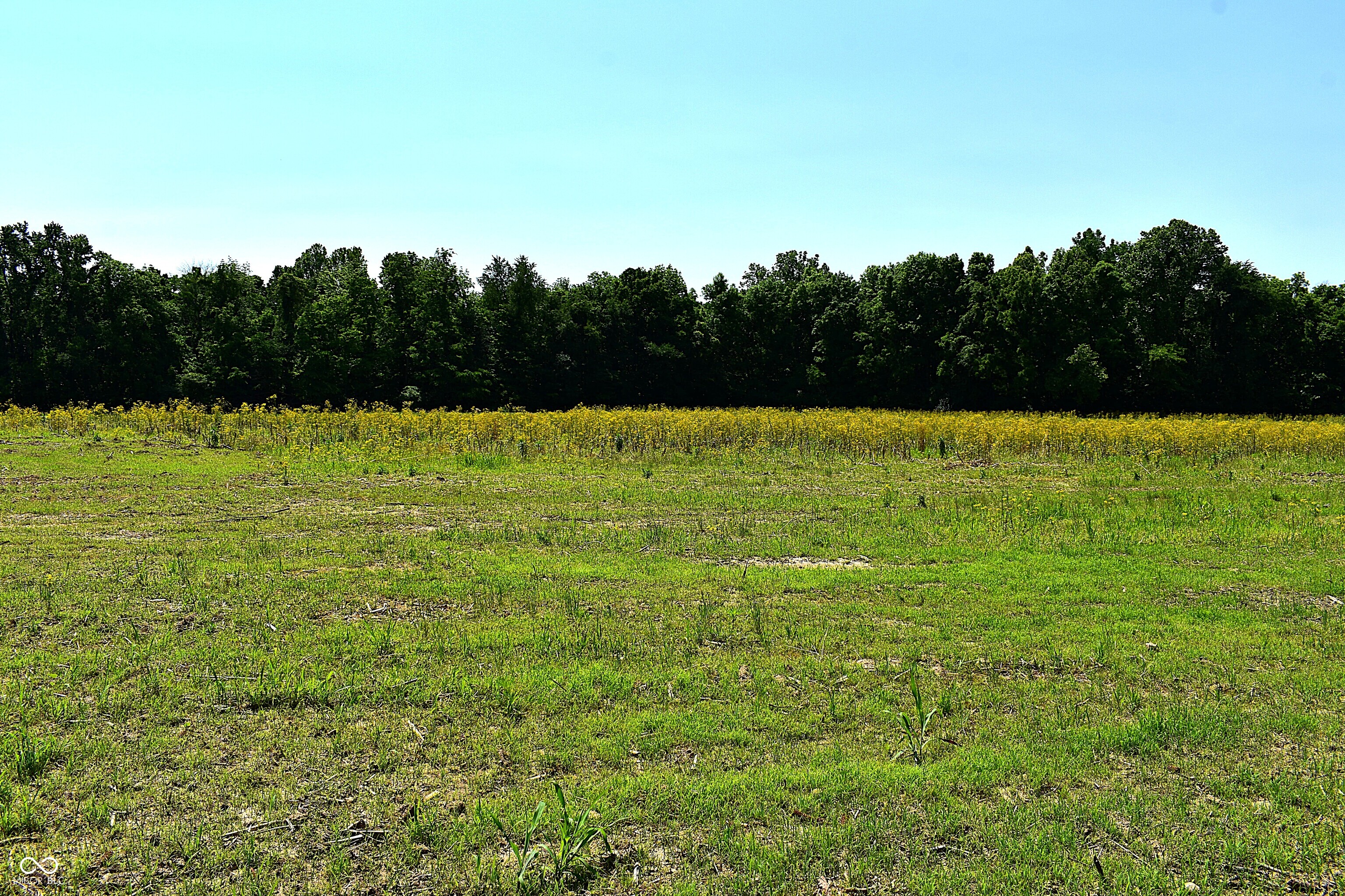 Lot 6 Whitetail Ridge Mooresville, IN 46158 - Photo 8 of 8