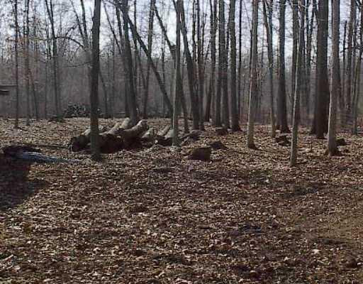 15055 Dunbar Road Petersburg, MI 49270 - Photo 10 of 10 Photo 10