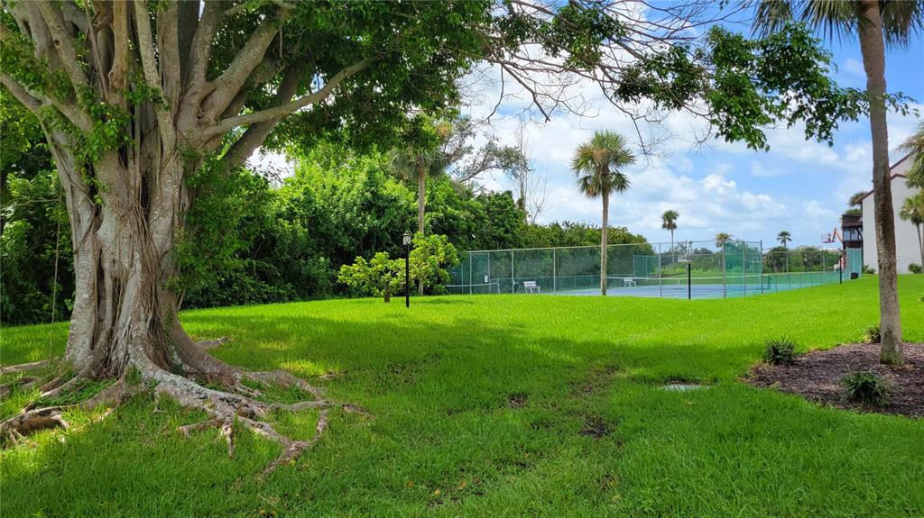 1626 Stickney Point Road, Unit 102 Sarasota, FL 34231 - Photo 12 of 42 a view of a park with large trees