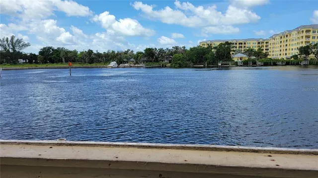 a view of a green yard with large trees
