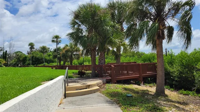 a view of a park with a bench