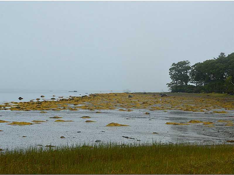 Lot 45 Old Cart Road Chebeague Island, ME 04017 - Photo 15 of 15 View.