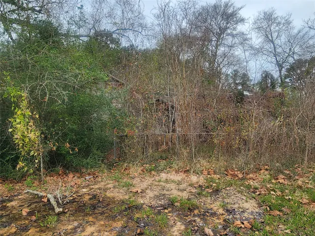 a view of a lake with large trees