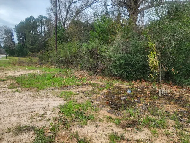 a view of a yard with a tree