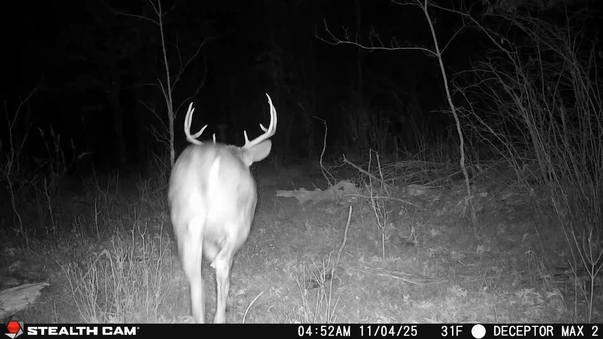 0 Beaver Hancock, WI 54943 - Photo 7 of 8 Gallery Image 7