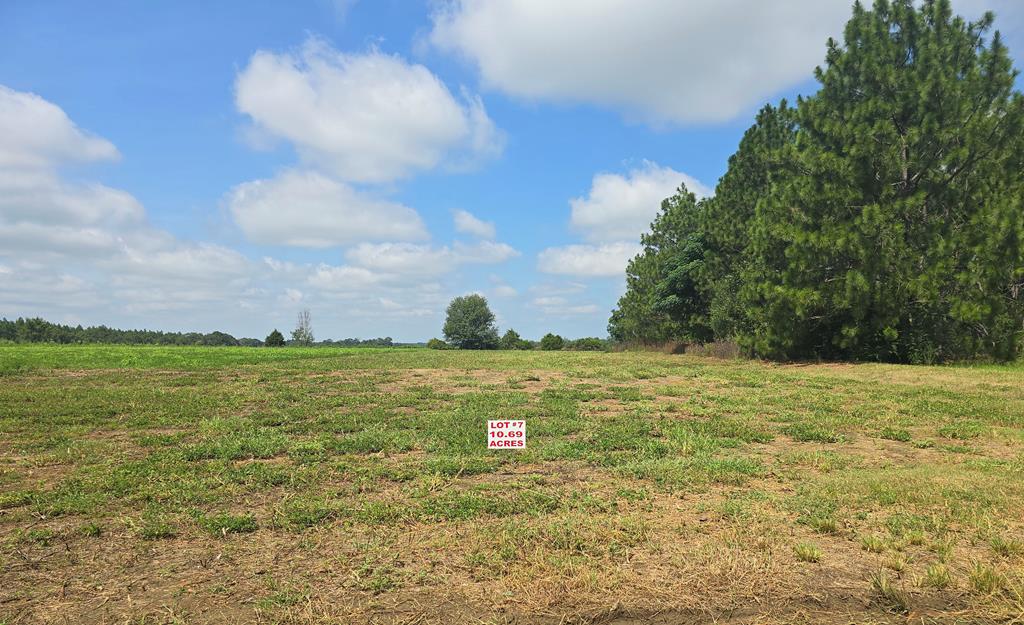 10.69-acres Summer Road Slocomb, AL 36375 - Photo 3 of 51