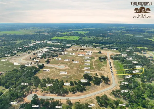 a view of city with ocean