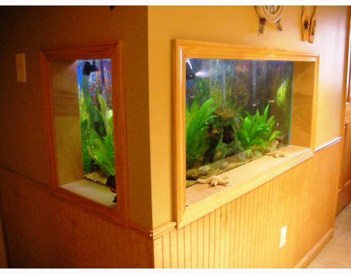258 Kaufman Road Gibsonia, PA 15044 - Photo 11 of 14 Other. Built in fish tank in family room.