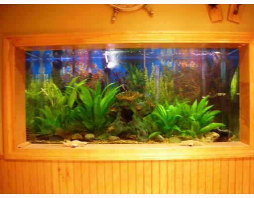 258 Kaufman Road Gibsonia, PA 15044 - Photo 12 of 14 Other. Front view of fish tank
