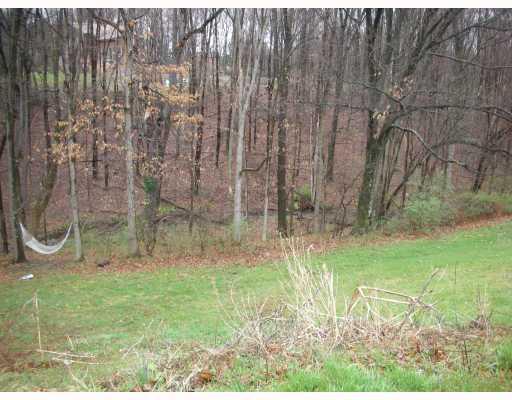 258 Kaufman Road Gibsonia, PA 15044 - Photo 14 of 14 Yard/Garden. Wooded portion of yard.