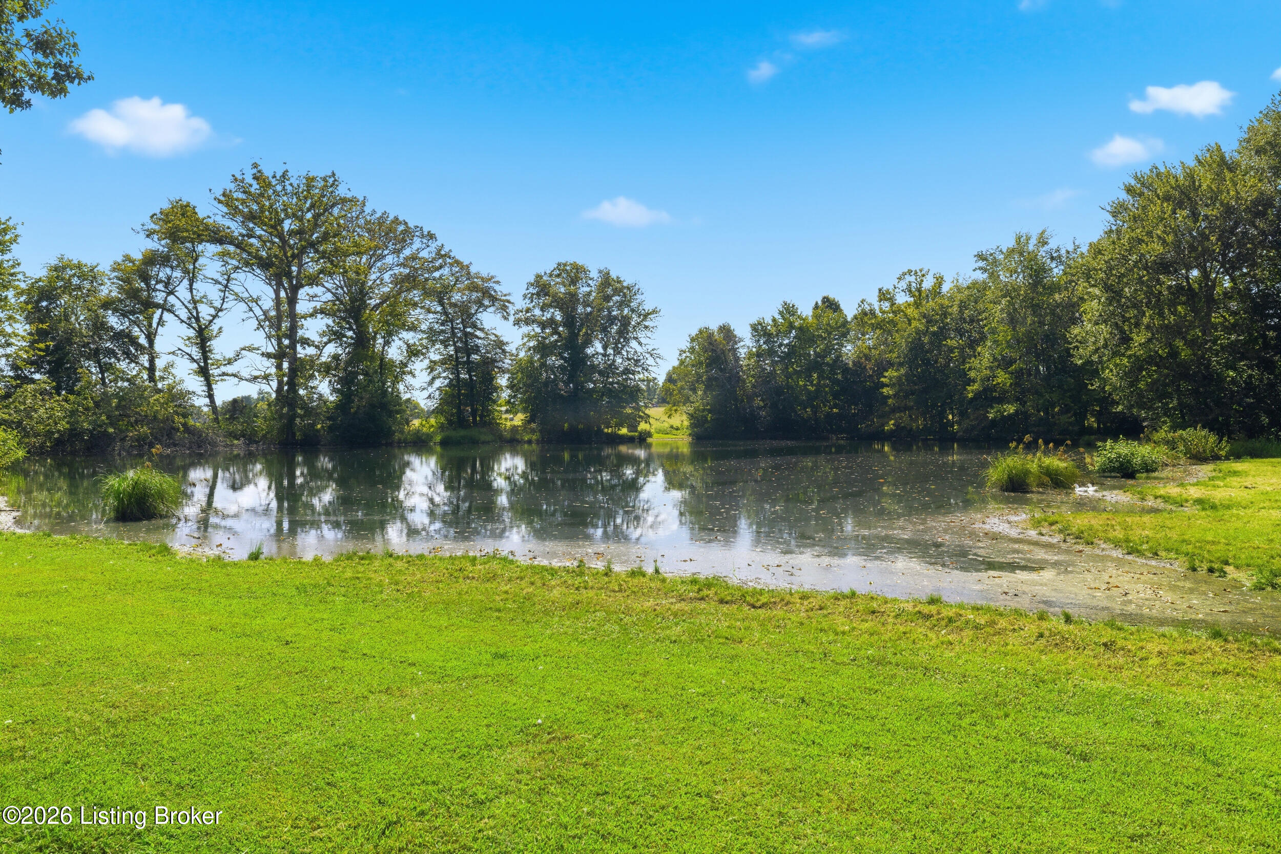 95 Mundys Landing Road Versailles, KY 40383 - Photo 71 of 86 73_1h4a7489