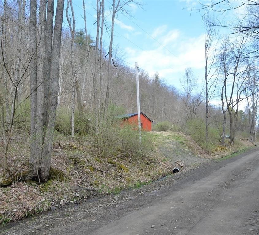 4235 Bellinger Hollow Road Hornby, NY 14830 - Photo 7 of 9