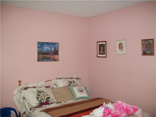 281 Doak Road Manchester, TN 37355 - Photo 13 of 20 Third Bedroom which has a walk-in closet.