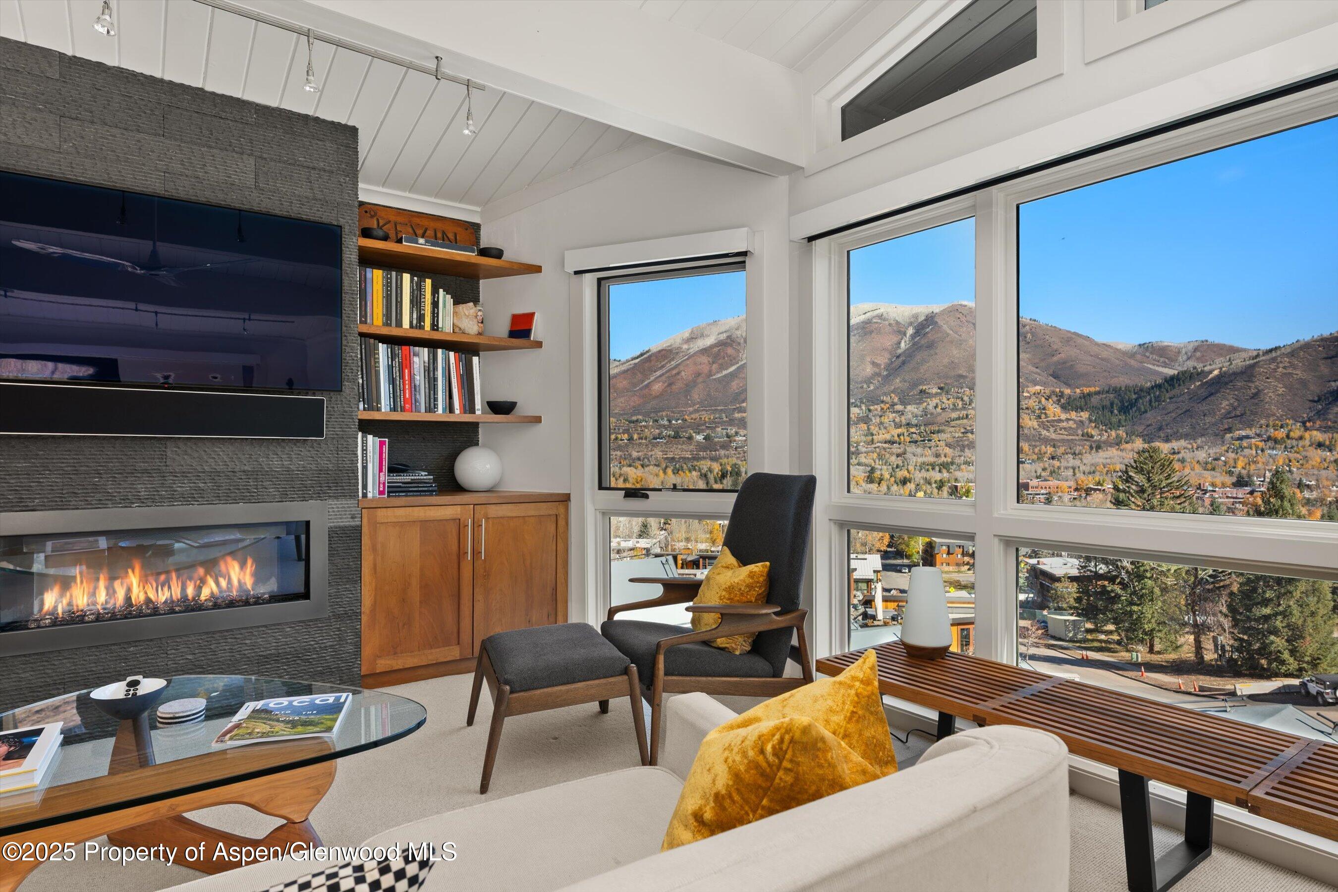 809 South Aspen Street, Unit 17 Aspen, CO 81611 - Photo 12 of 34 a living room with furniture a bookshelf and a fireplace