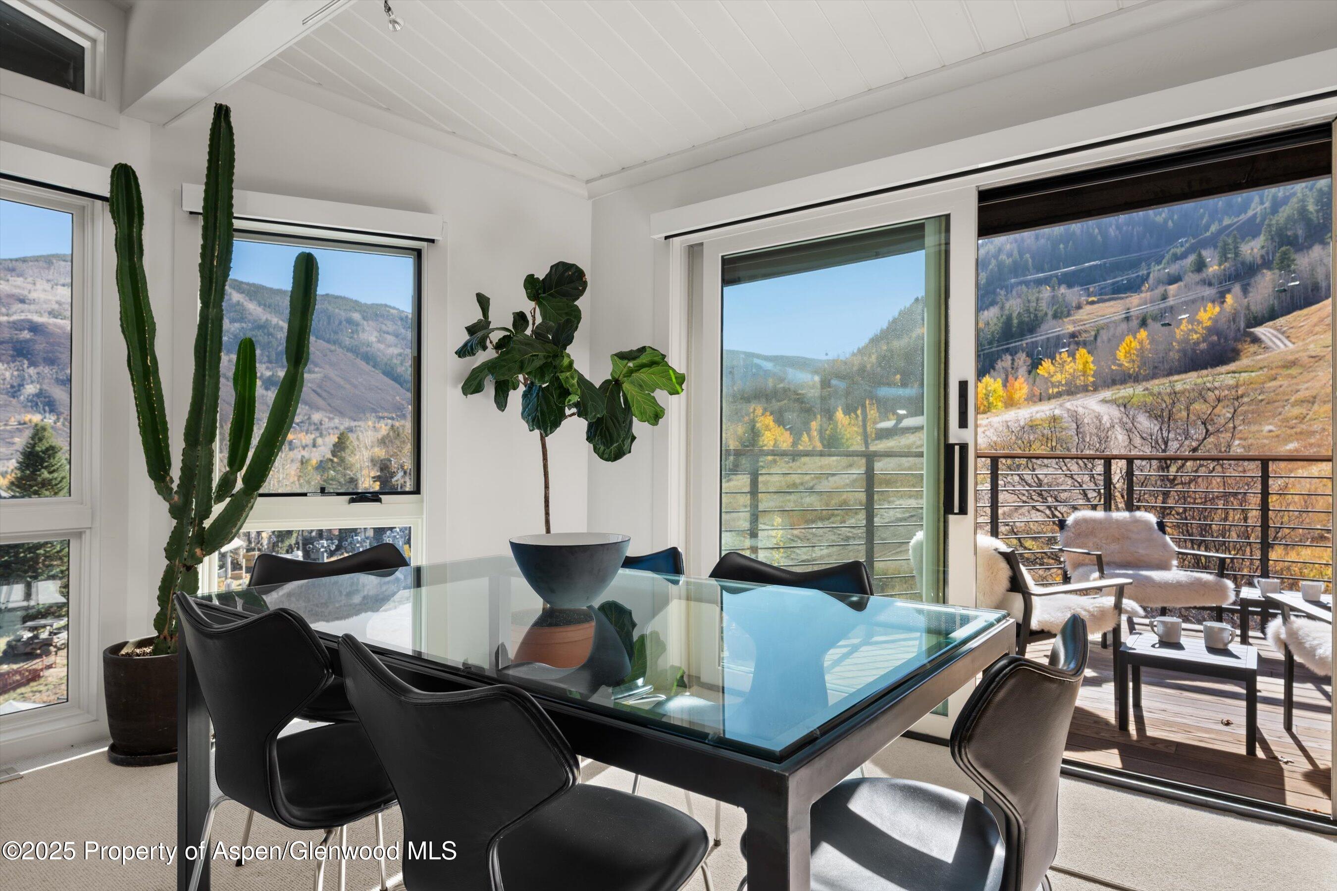 809 South Aspen Street, Unit 17 Aspen, CO 81611 - Photo 14 of 34 a view of a dining room with furniture window and outside view