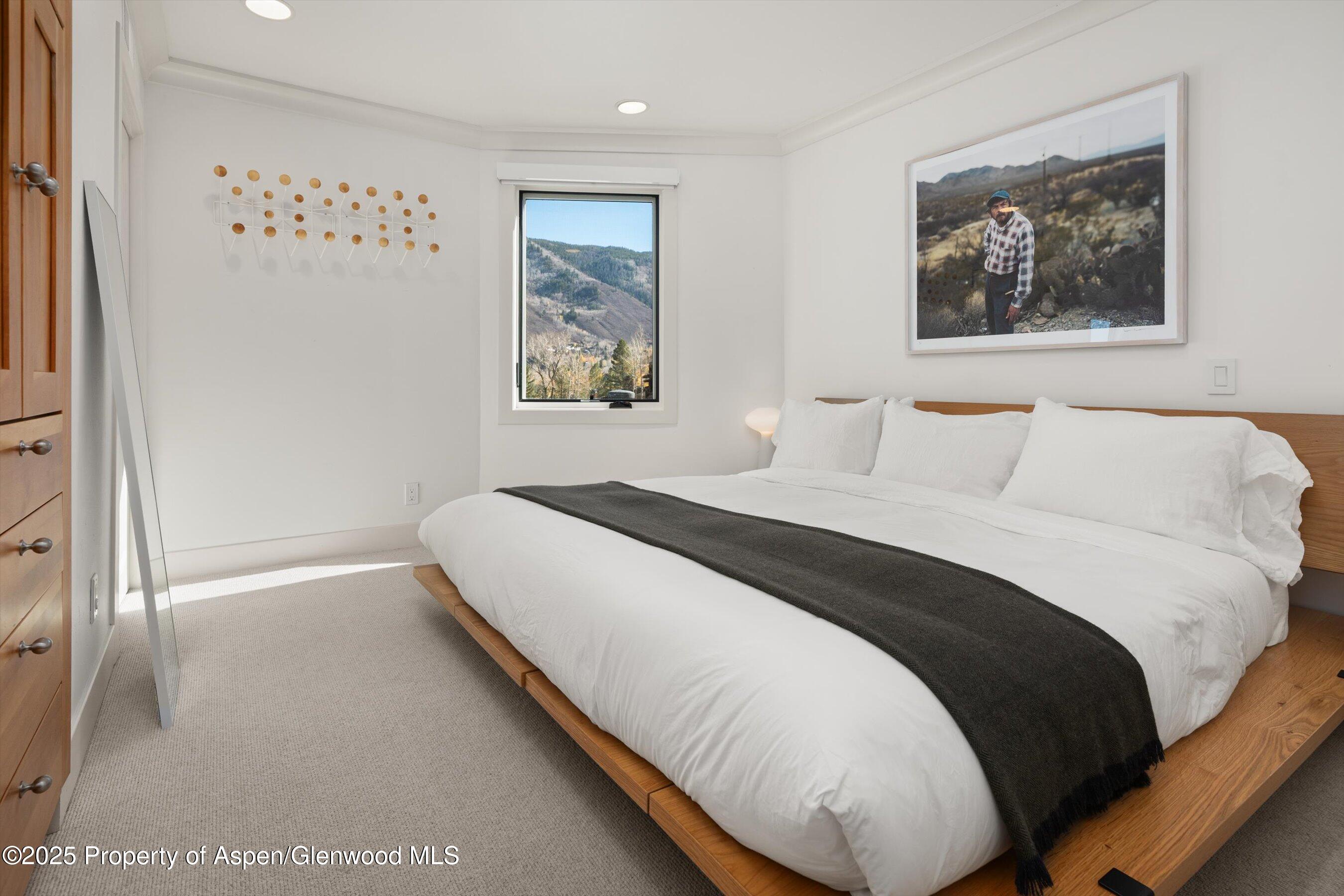 809 South Aspen Street, Unit 17 Aspen, CO 81611 - Photo 20 of 34 809sAspen17