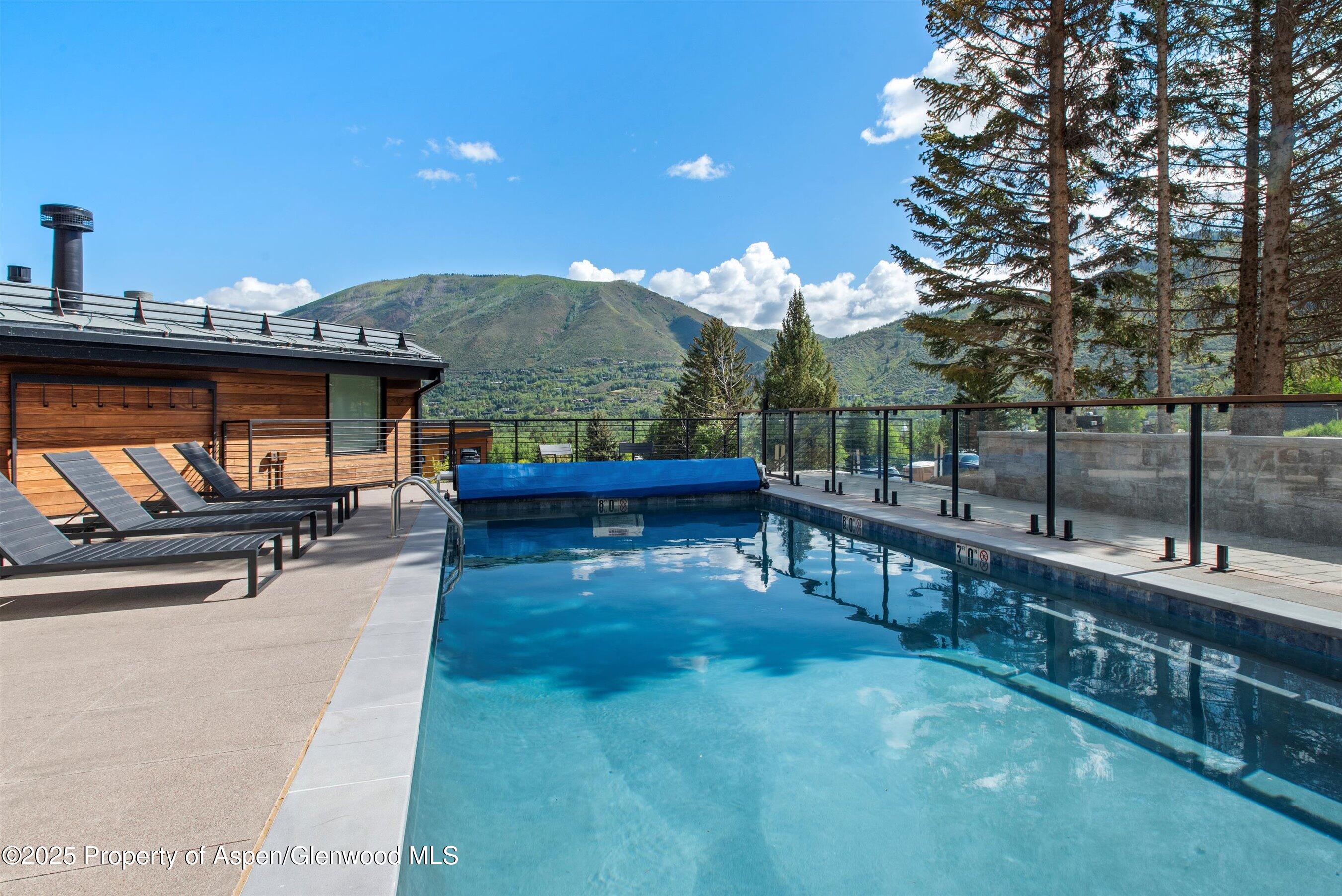 809 South Aspen Street, Unit 17 Aspen, CO 81611 - Photo 25 of 34 809sAspen17