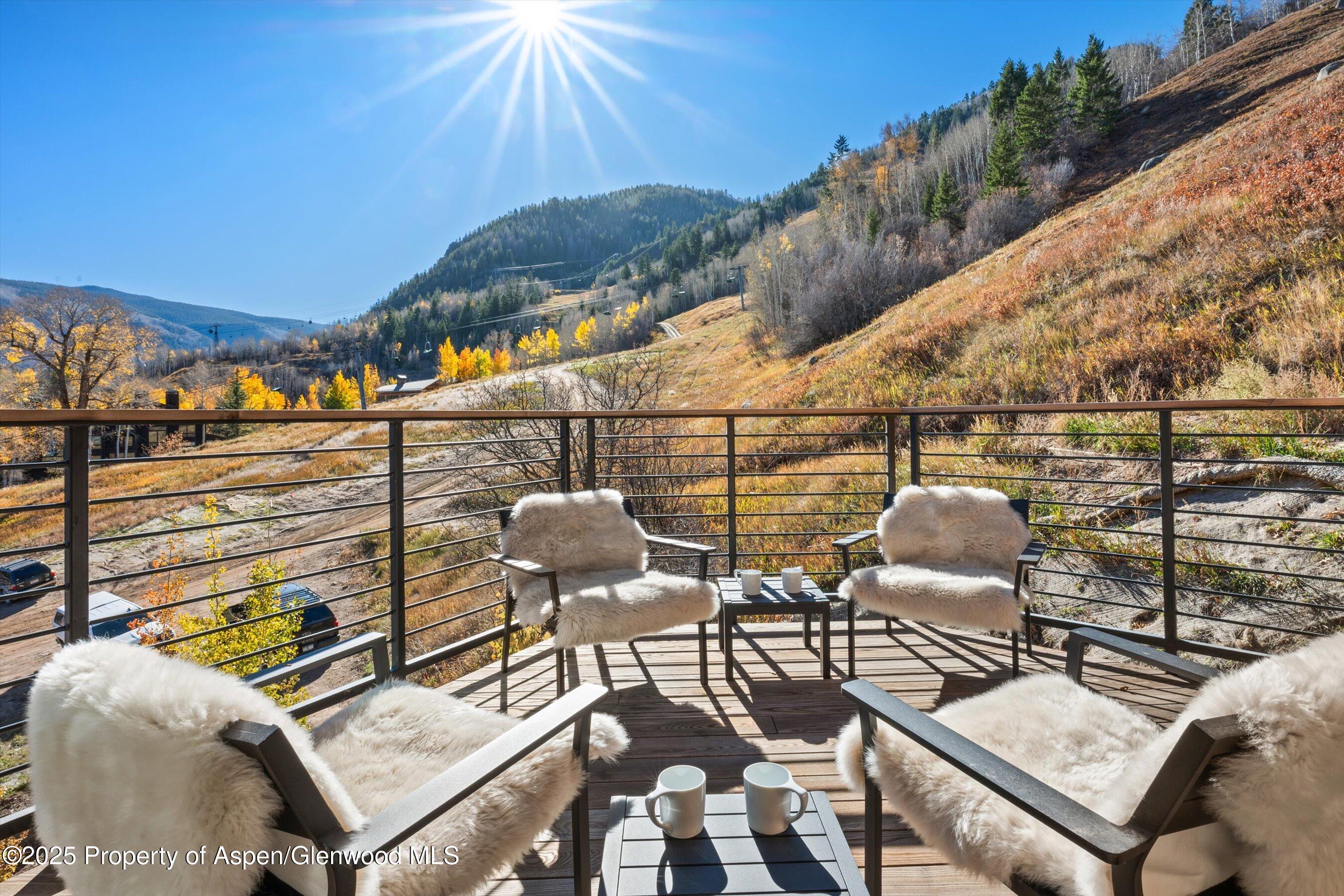 809 South Aspen Street, Unit 17 Aspen, CO 81611 - Photo 3 of 34 a view of a terrace with seating area