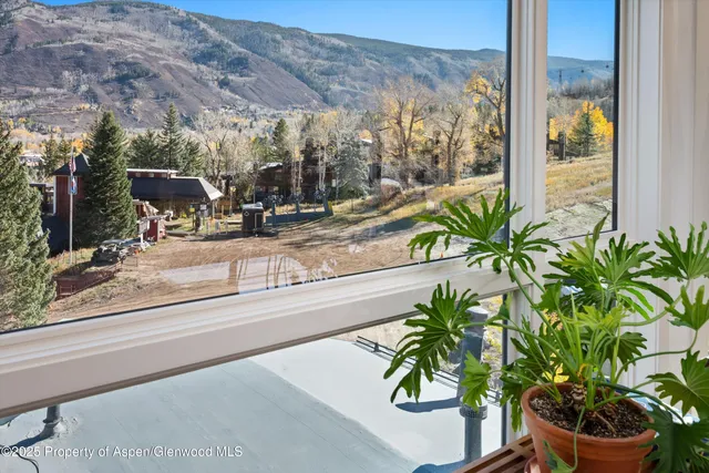 $25,000 | 809 South Aspen Street, Unit 17, Aspen, CO 81611