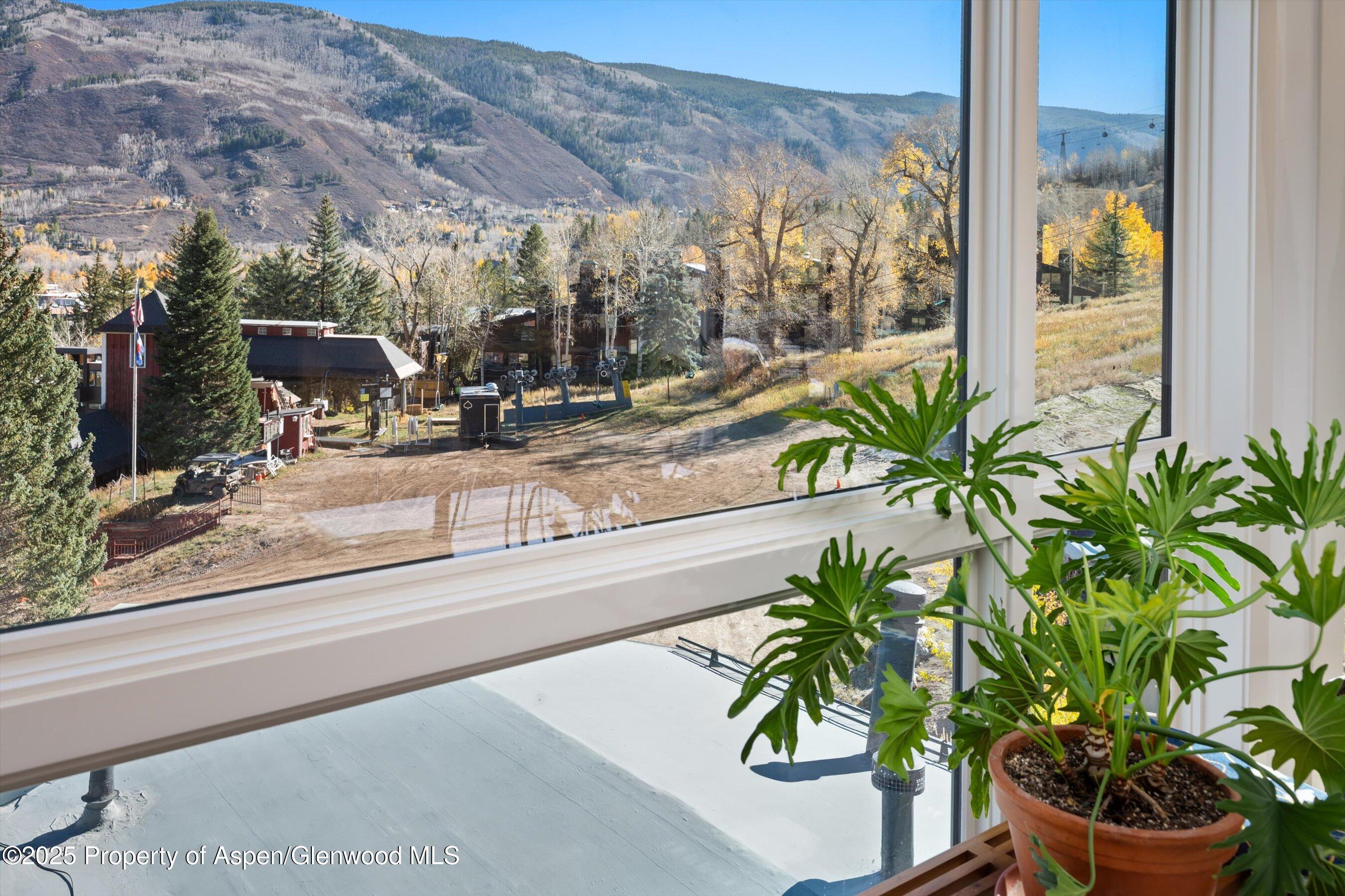 809 South Aspen Street, Unit 17 Aspen, CO 81611 - Photo 34 of 34 a view of a porch with furniture and a yard
