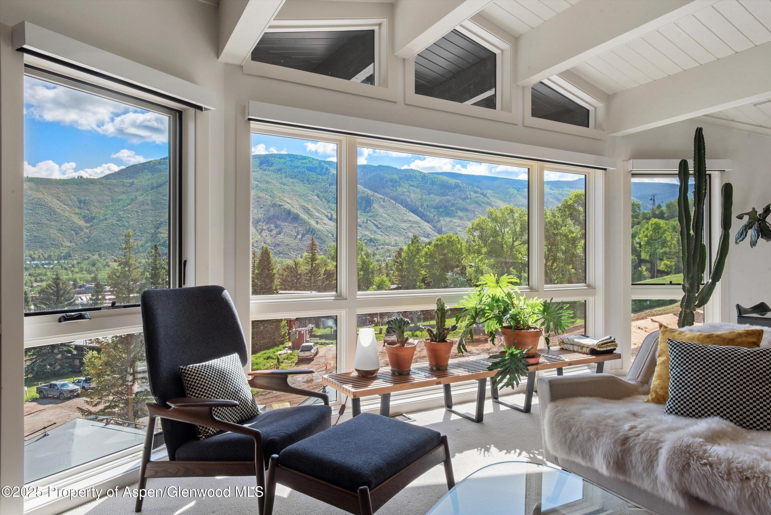 809 South Aspen Street, Unit 17 Aspen, CO 81611 - Photo 4 of 34 809sAspen17