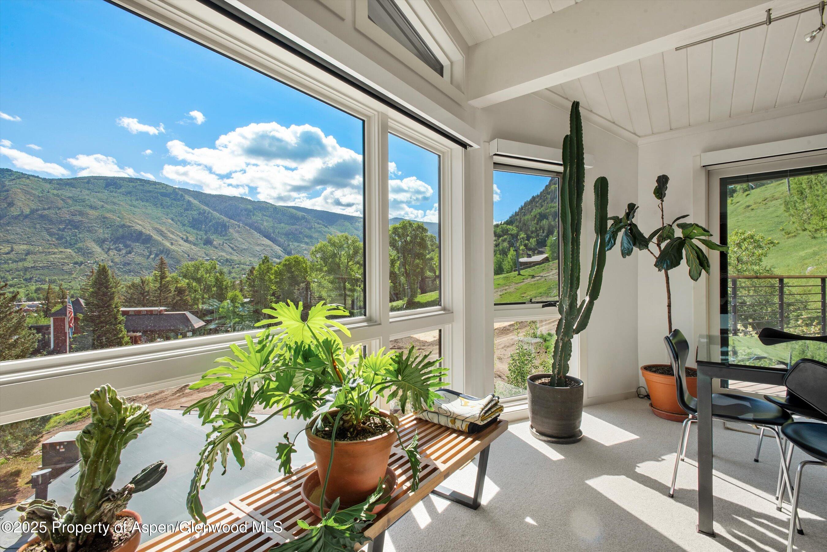 809 South Aspen Street, Unit 17 Aspen, CO 81611 - Photo 8 of 34 a view of a porch with furniture and a potted plant