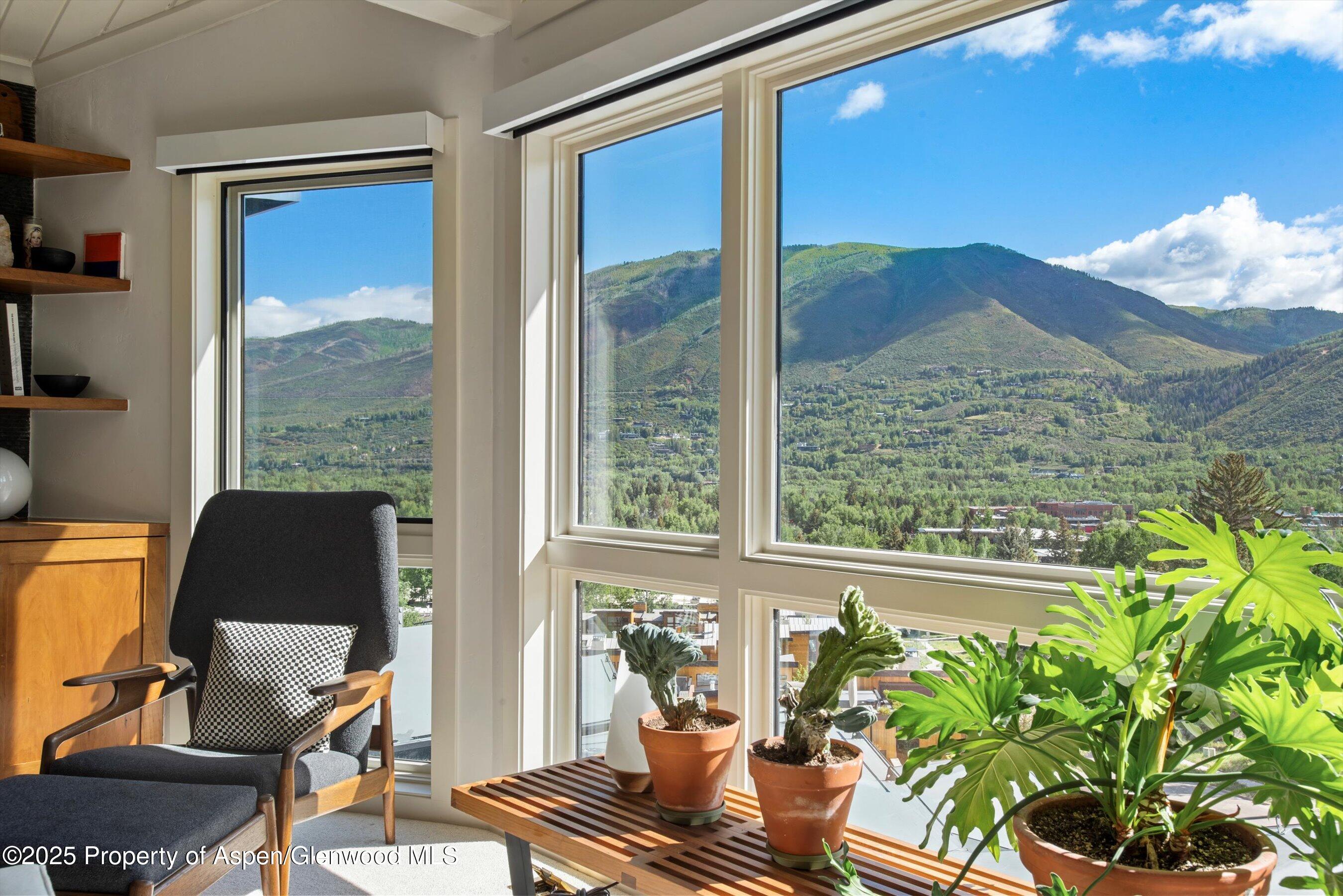 809 South Aspen Street, Unit 17 Aspen, CO 81611 - Photo 9 of 34