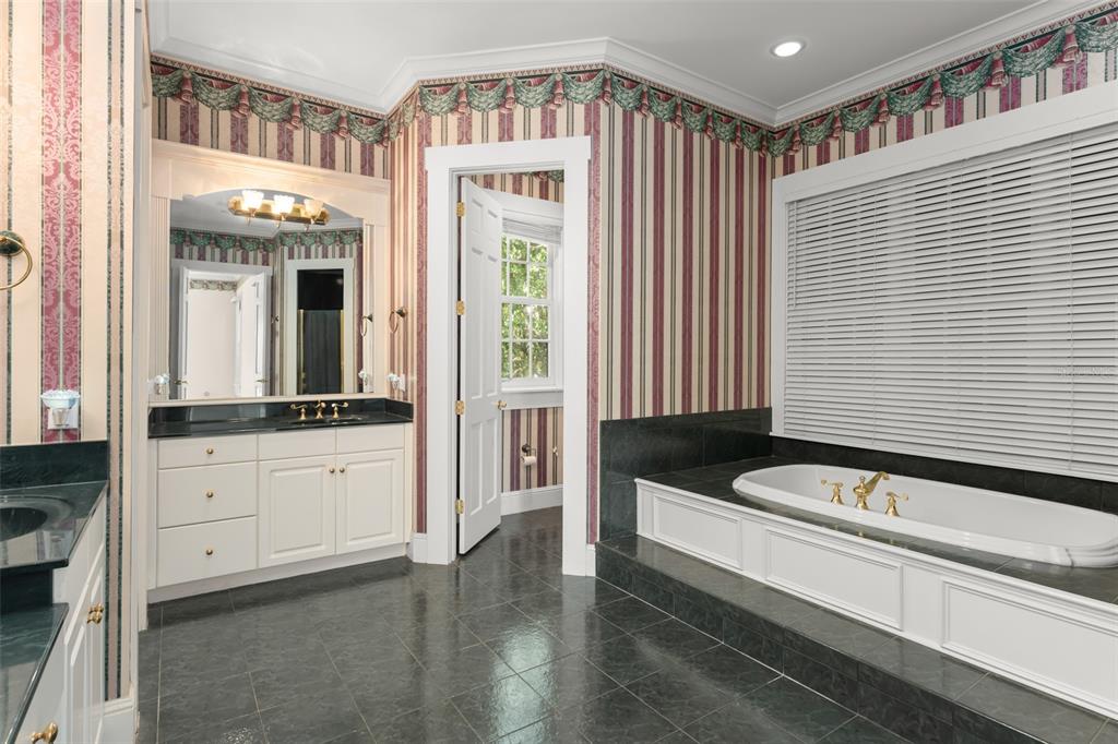 403 Water Street Celebration, FL 34747 - Photo 42 of 86 a bathroom with a granite countertop sink and a large mirror