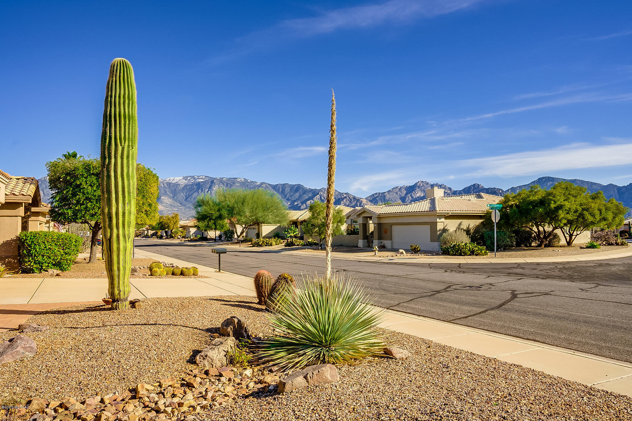 1717 East Crown Ridge Way Oro Valley, AZ 85755 - Photo 2 of 22