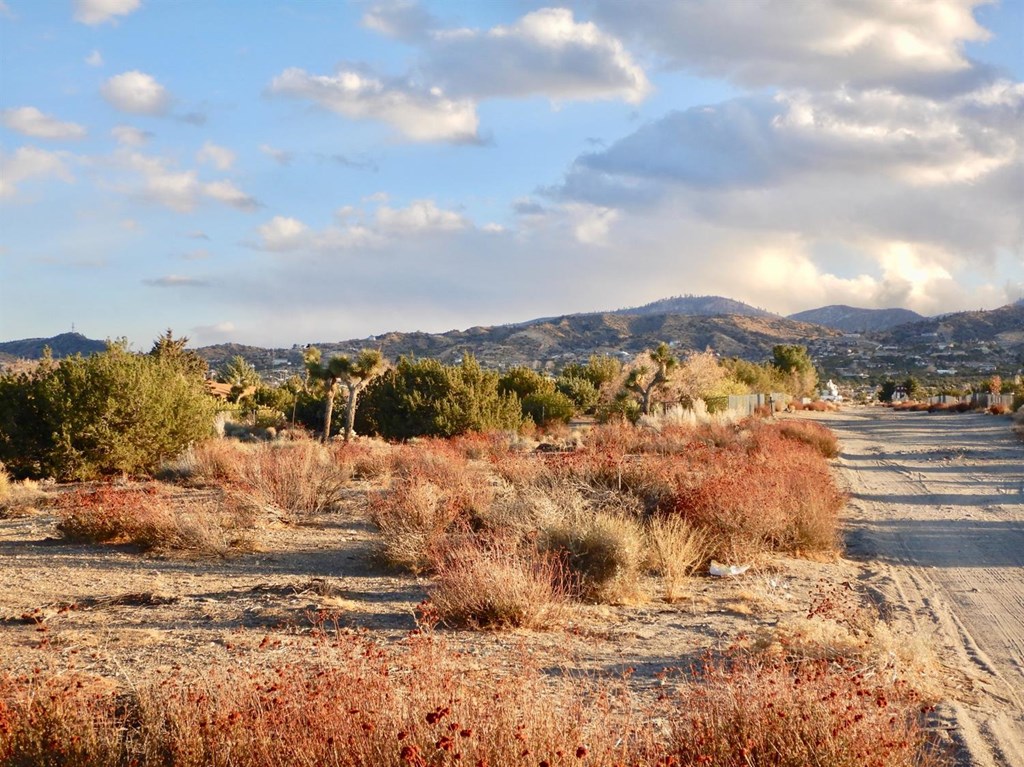 0 Burbank Road Phelan, CA 92372 - Photo 1 of 1 a view of mountain view with lake