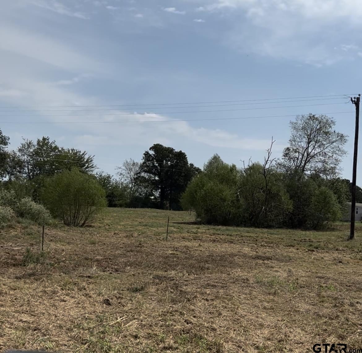 Lot 6 County Road 3374 Alba, TX 75410 - Photo 2 of 6